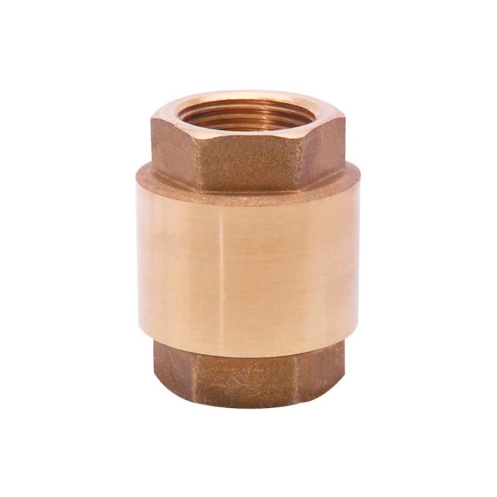 URREA VALVULA CHECK VERTICAL  1" 45N.25
