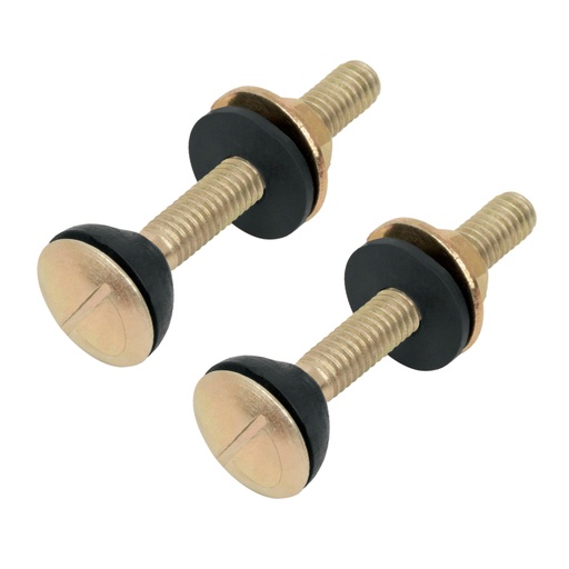 [HC81356] TORNILLO TOR-WC P/SANITARIO