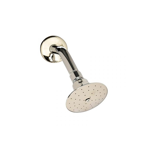 [HC88555] AKSI REGADERA 114802  3 1/2" METAL C/BRAZO Y CHAP