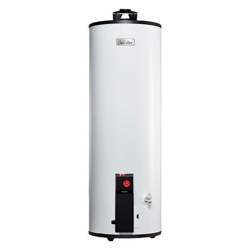 [HC102764] CALOREX CALENTADOR 300LT      INDUSTRIAL GAS LP D-80-180-CX